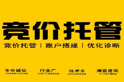 百度广告投放技巧及效果评估案例